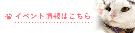 イベント情報はこちら