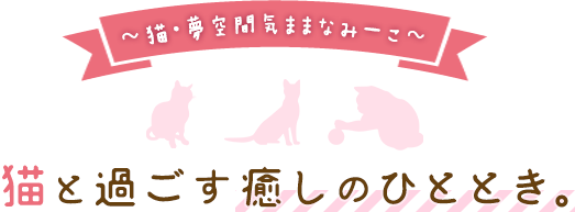 猫と過ごす癒しのひととき。～猫・夢空間気ままなみーこ～