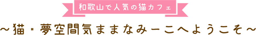 歌山で人気の猫カフェ ～猫・夢空間気ままなみーこへようこそ～