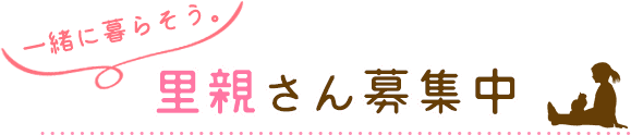 一緒に暮らそう。里親さん募集中